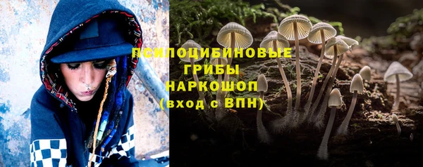 СК Алзамай