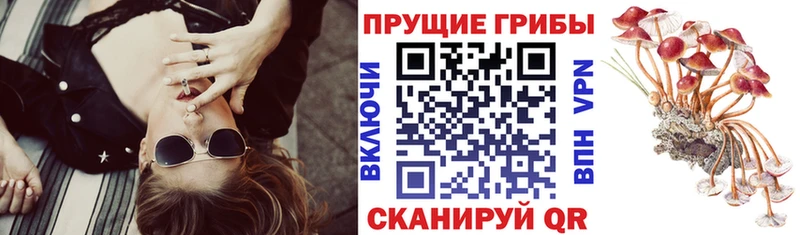 Псилоцибиновые грибы Magic Shrooms  Курск 