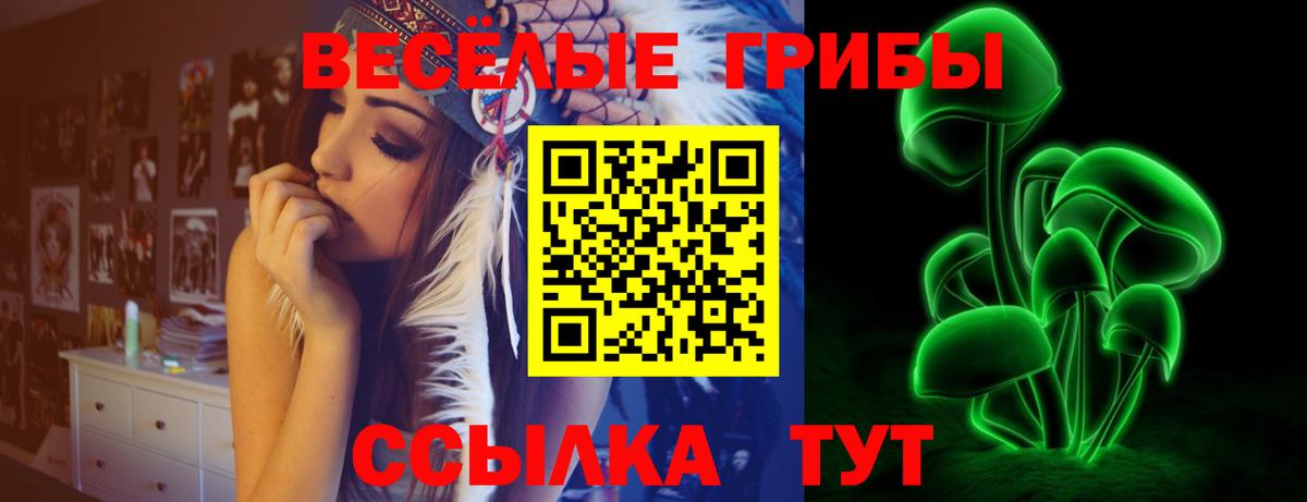 Курск  Псилоцибиновые грибы Cubensis  Псилоцибиновые грибы MAGIC MUSHROOMS  Вход с VPN 